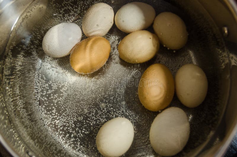 Boiling Eggs in Hot Water in the Pot Stock Photo Image of meal, cooking 142376702