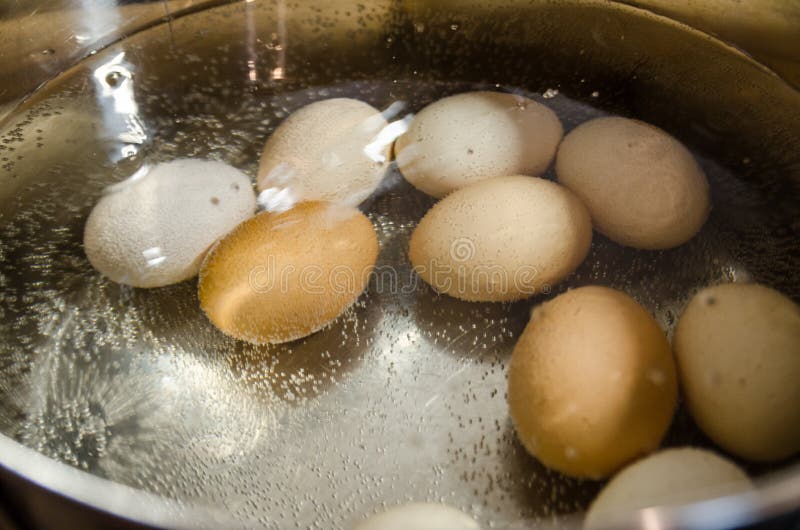 Яйца в холодную или горячую воду. Яйца в кипящей воде. Горячая яйцо вода. Яйца варятся в кипяченой воде ?. Варка яиц в кипящей воде.