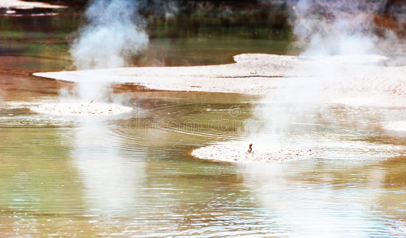 Boiling Mud Pool in Wai-O-Tapu Geothermal Wonderland, Rotorua, New Zealand stock photography Boiling Mud Pool in Wai-O-Tapu Geothermal Wonderland, Rotorua, New Zealand stock photography