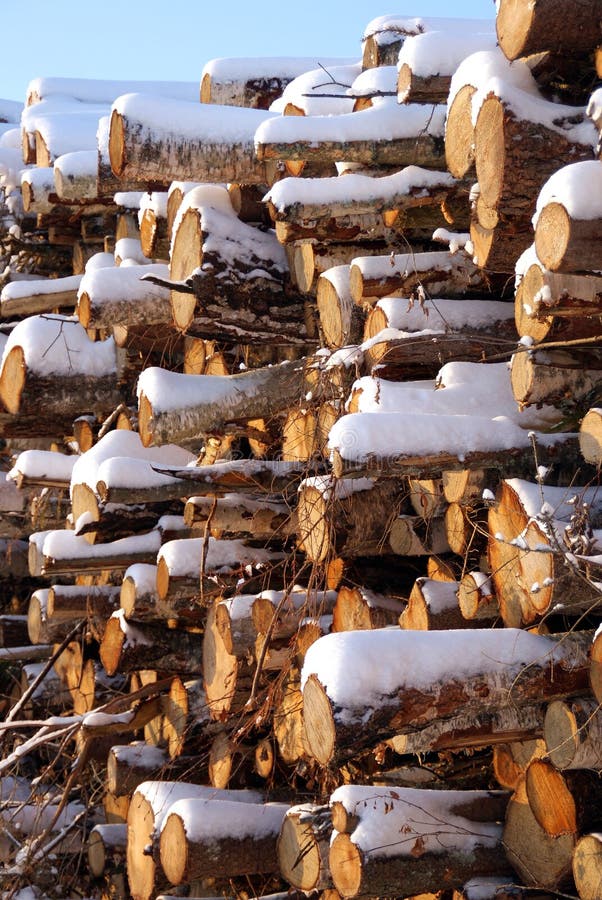 Remorque Pour Le Transport Du Bois De Chauffage En Hiver Photo