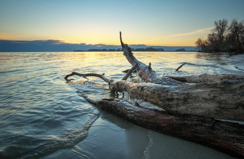 Bois mort en mer au coucher du soleil photographie stock libre de droits Bois mort en mer au coucher du soleil photographie stock libre de droits