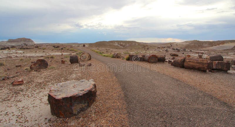 Bois pétrifié le long de sentier de randonnée de Crystal Forest dans Forest National Park pétrifié, Arizona, Etats-Unis photo libre de droits Bois pétrifié le long de sentier de randonnée de Crystal Forest dans Forest National Park pétrifié, Arizona, Etats-Unis photo libre de droits