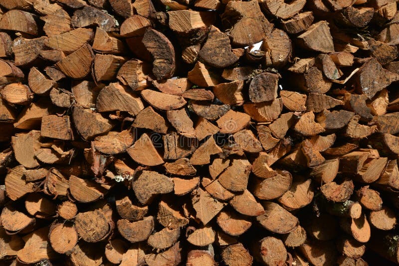 Bois sec photo stock. Image du automne, profondément 62077024