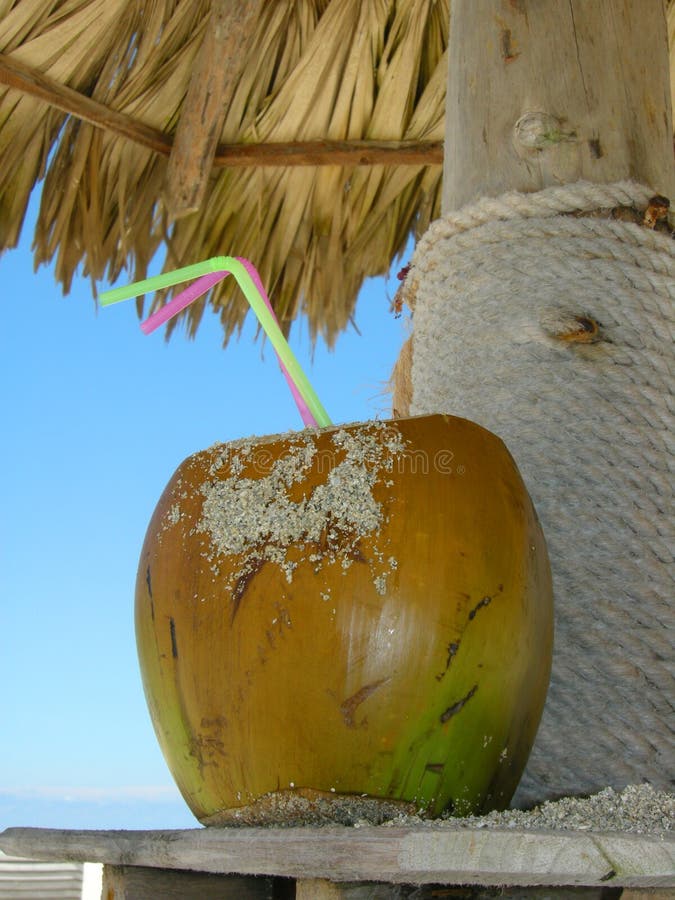 Boisson tropicale photo libre de droits Boisson tropicale photo libre de droits