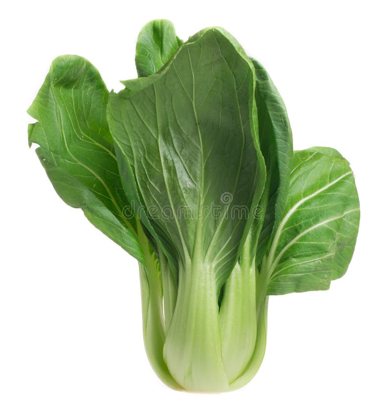 Chinese Vegetable Choy Sum Stock Image Image of isolated, vegetable 1323357