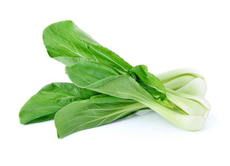 Bok choy (chinese cabbage) stock image. Image of chigensai 72424547