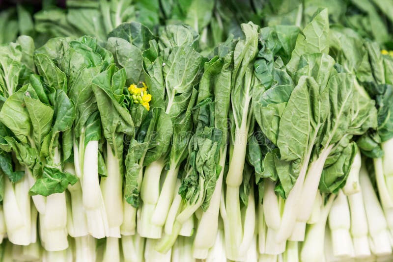 Bok choy leafy vegetable stock image. Image of cuisine 83877393