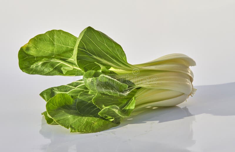 Boka Choi pozycja na prostym tle zdjęcie stock Boka Choi pozycja na prostym tle zdjęcie stock