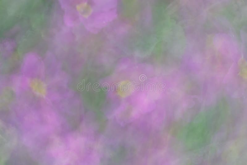 Bokeh abstrato e flores obscuras como o fundo ou a textura imagem de stock royalty free Bokeh abstrato e flores obscuras como o fundo ou a textura imagem de stock royalty free