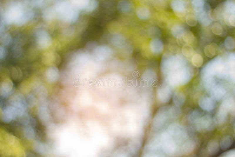 Bokeh azul abstrato, qualidade visual das áreas fora de foco de uma imagem fotográfica, especialmente como rendidas por uma lente imagens de stock Bokeh azul abstrato, qualidade visual das áreas fora de foco de uma imagem fotográfica, especialmente como rendidas por uma lente imagens de stock