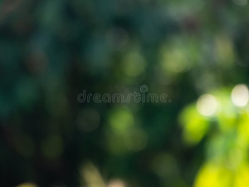 198,221 Dark Blur Background Stock Photos - Free & Royalty-Free Stock  Photos from Dreamstime