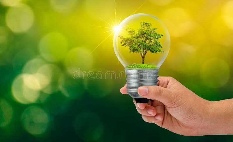 Bokeh blur green background The forest and the trees are in the light. Concepts of environmental conservation and global warming p royalty free stock photos