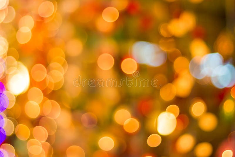 Decorative outdoor string lights hanging on tree in the garden at night time - decorative christmas lights