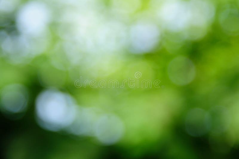 Bokeh from defocus of sun light.