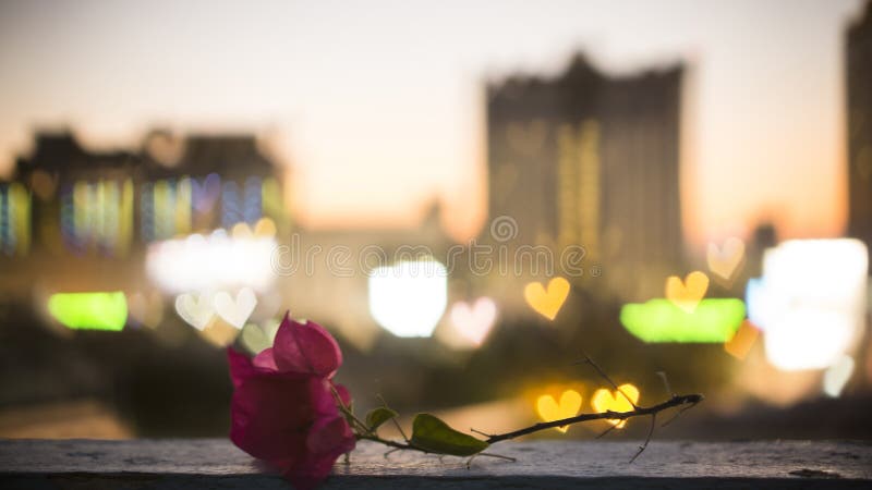 Bokeh Foto Grelles Gelbes Licht Im Dunklen Hintergrund Stockbild Bild Von Unscharfe Auslegung 161414709