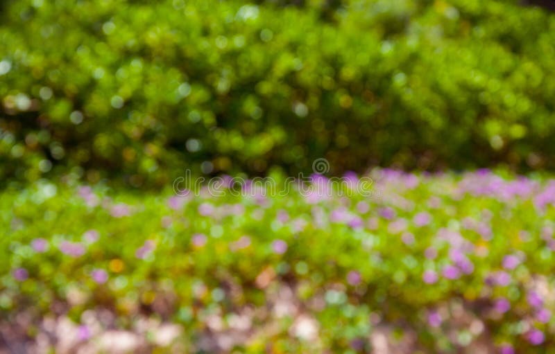 Bokeh rosado y verde. Fondo abstracto imágenes de archivo libres de regalías Bokeh rosado y verde. Fondo abstracto imágenes de archivo libres de regalías