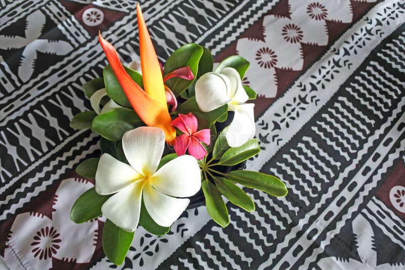Bokeh tropical Fidji de fleurs des îles du Pacifique