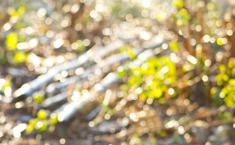 Bokeh von Wasser-Tropfen stockbild Bokeh von Wasser-Tropfen stockbild