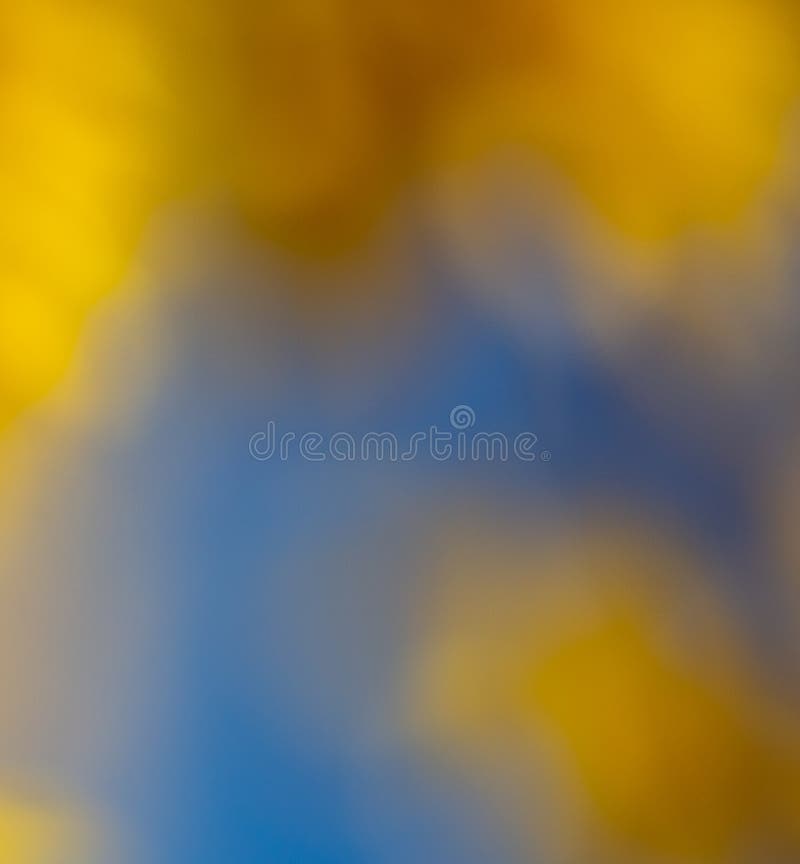 Bokeh of yellow flowers in spring and blue sky as abstract background.