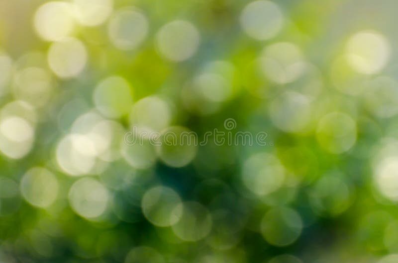 Bokeh πράσινο υπόβαθρο θαμπάδων Bokeh αντανάκλασης νερού υποβάθρου θαμπάδων πράσινο στοκ εικόνες