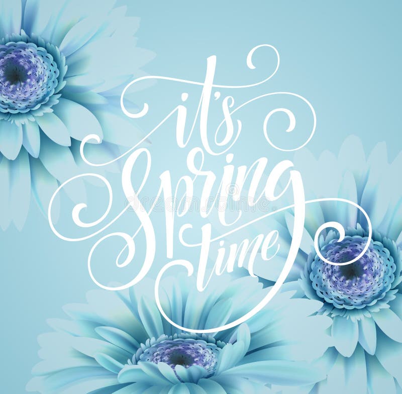 Gerbera Flower Background and Spring Lettering. Vector Illustration EPS10. Gerbera Flower Background and Spring Lettering. Vector Illustration EPS10