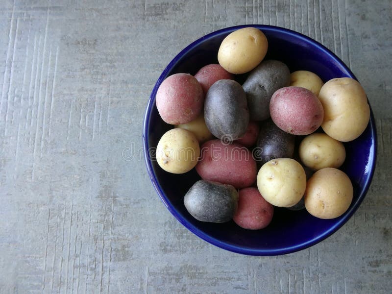 Looking at a Bowl of Multi-Colored Potatoes from Above against a Grey Background. Looking at a Bowl of Multi-Colored Potatoes from Above against a Grey Background