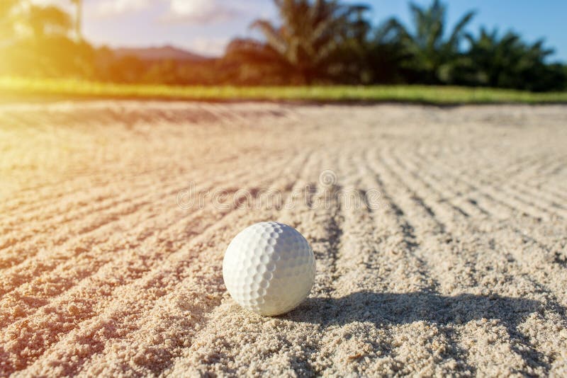 Bola de golfe branca do foco seletivo no depósito da areia com fi verde fotografia de stock Bola de golfe branca do foco seletivo no depósito da areia com fi verde fotografia de stock
