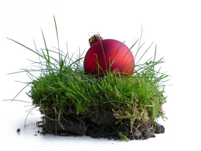 Red christmas ball in a piece of grass, symbol of a piece of nature for Christmas as a gift,. Red christmas ball in a piece of grass, symbol of a piece of nature for Christmas as a gift,