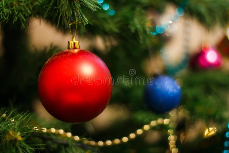 A bola vermelha na árvore de Natal fotografia de stock A bola vermelha na árvore de Natal fotografia de stock