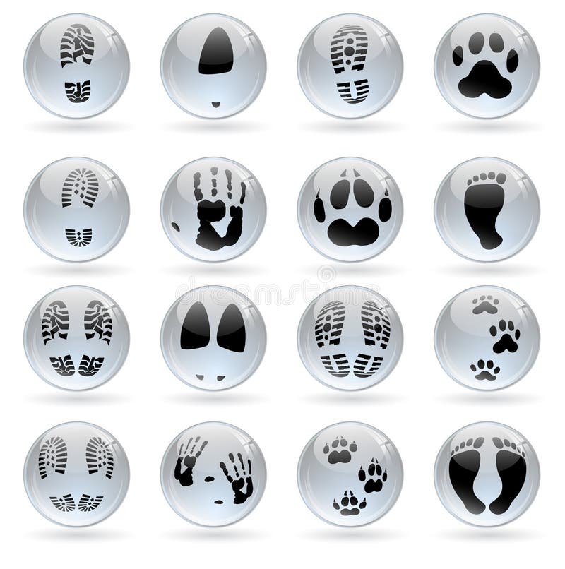 Set of different glossy balls with human and animal prints. Set of different glossy balls with human and animal prints