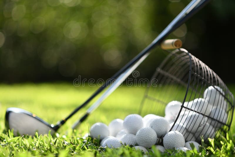 Bolas de golfe em clubes da cesta e de golfe na grama verde para a prática