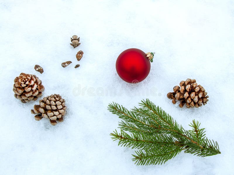 Bolas de la Navidad y ramas del abeto con las decoraciones en el fondo blanco Espacio para el texto imagen de archivo Bolas de la Navidad y ramas del abeto con las decoraciones en el fondo blanco Espacio para el texto imagen de archivo
