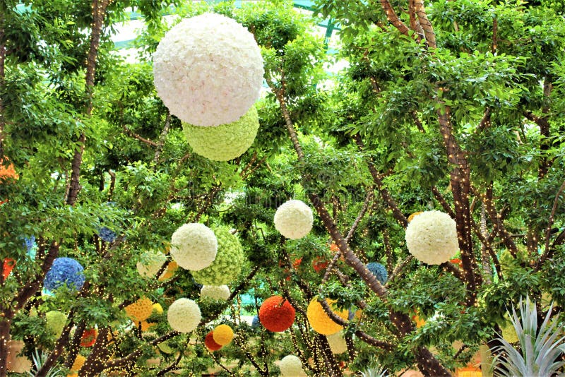 Bolas decorativas de suspensão coloridas vibrantes da flor fotos de stock Bolas decorativas de suspensão coloridas vibrantes da flor fotos de stock