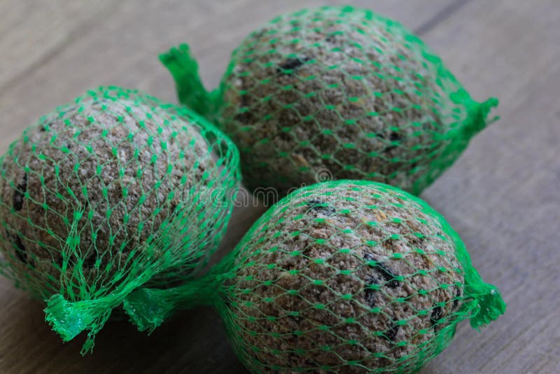 Bolas del fatt del pájaro en red verde en fondo de madera foto de archivo Bolas del fatt del pájaro en red verde en fondo de madera foto de archivo