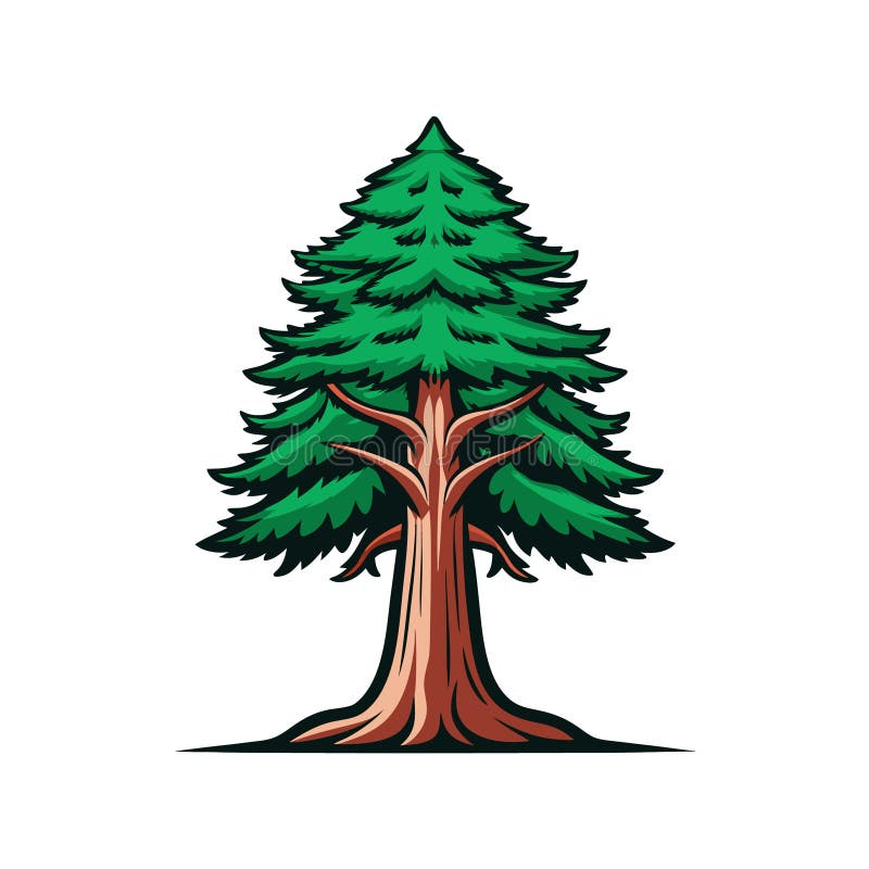 Baldcypress Tree Medium Cod. 44801