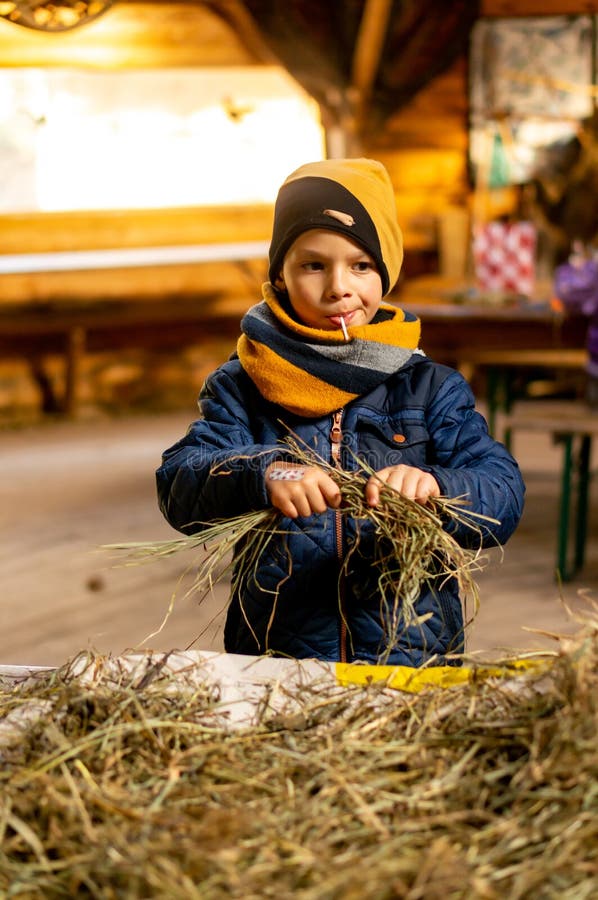 BOLECHOWKO, POLAND - Dec 06, 2020: Boy creating something from dry grass stock photos