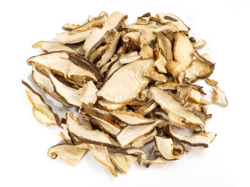 Boletus edulis seco sobre fondo blanco aislado imagen de archivo libre de regalías