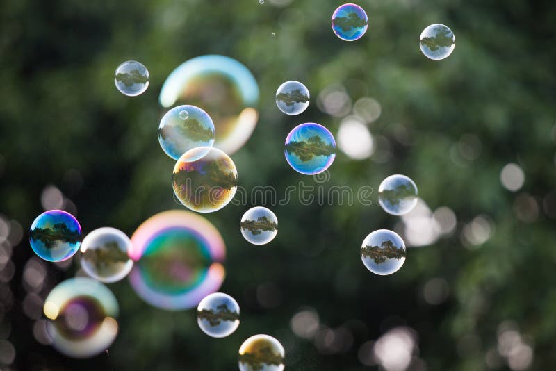 Soap Bubbles in front of the forest. Soap Bubbles in front of the forest