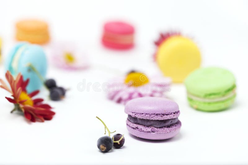 Bolinhos de amêndoa coloridos no fundo branco fotografia de stock