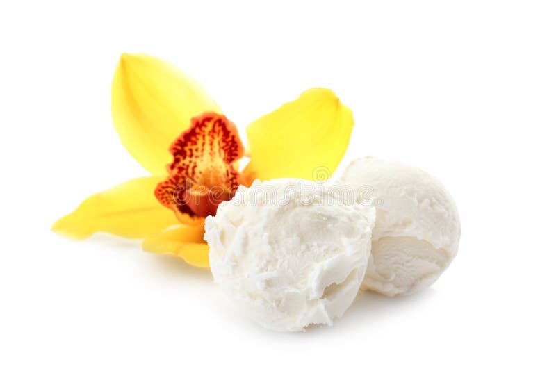 Balls of tasty vanilla ice cream and flower on white background. Balls of tasty vanilla ice cream and flower on white background
