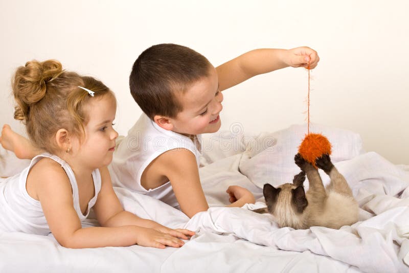 bollen lurar leka garn för kattungen royaltyfri foto bollen lurar leka garn för kattungen royaltyfri foto