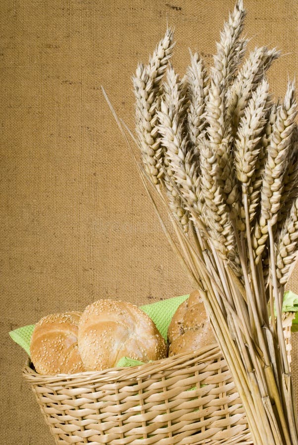 Buns and wheat in the breadbasket. Buns and wheat in the breadbasket