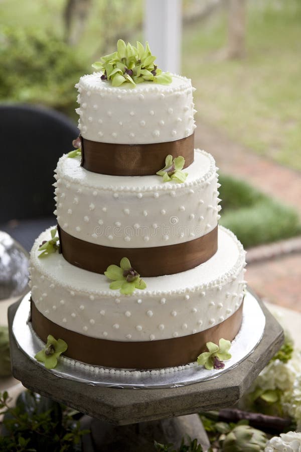 Bolo De Casamento - Jogo Acabado Foto de Stock - Imagem de adversidade,  conter: 179854596