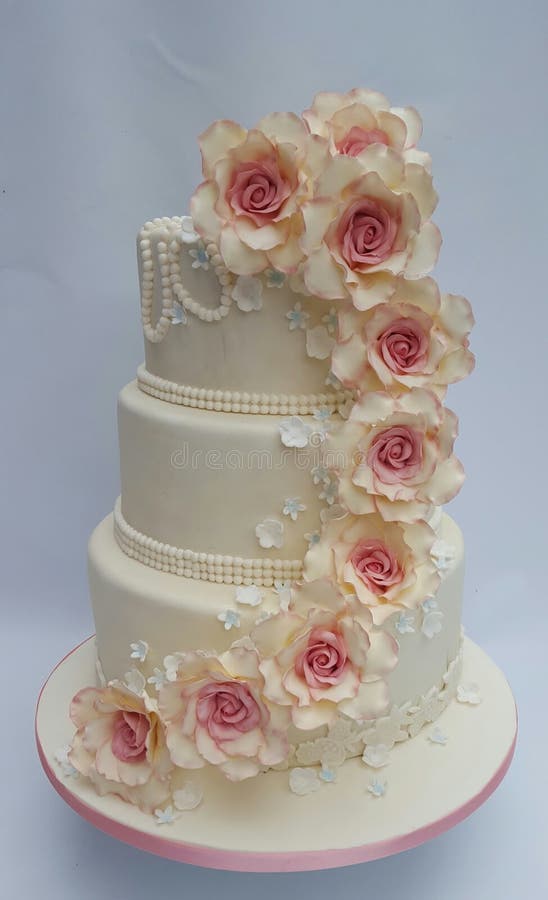 Bolo De Casamento Do Marfim Do Vintage Com Rosas Imagem de Stock - Imagem  de jogo, flor: 98852881