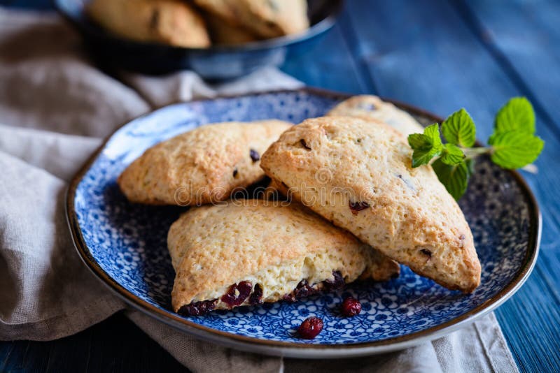 Homemade traditional Irish Scones with dried cranberries. Homemade traditional Irish Scones with dried cranberries