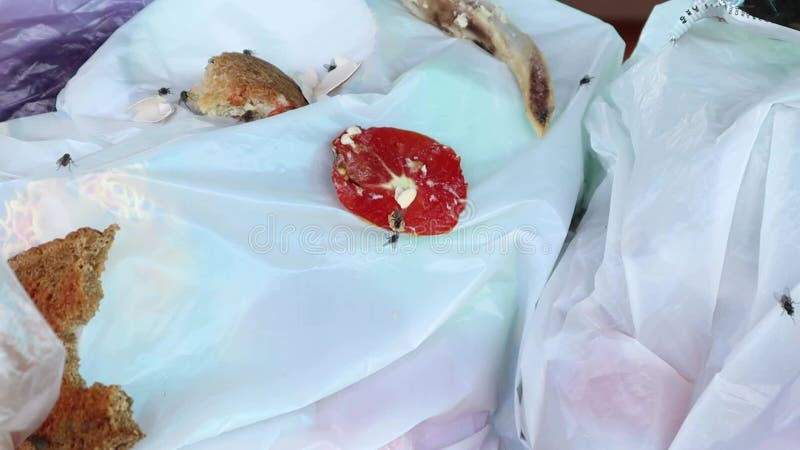 Bolsas de basura tomates podridos vertederos sucios montones de moscas descomponer comida podrida .