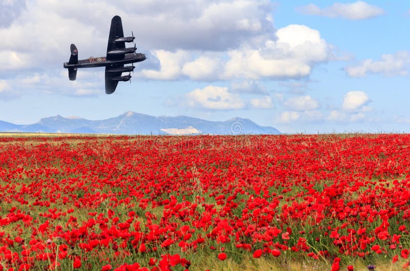 Bombardiere di Lancaster che passa un campo dei papaveri immagine stock Bombardiere di Lancaster che passa un campo dei papaveri immagine stock