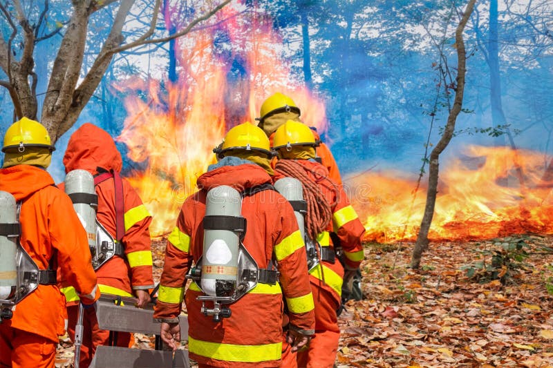 Bomberos que preparan el equipo en bosque foto de archivo libre de regalías Bomberos que preparan el equipo en bosque foto de archivo libre de regalías