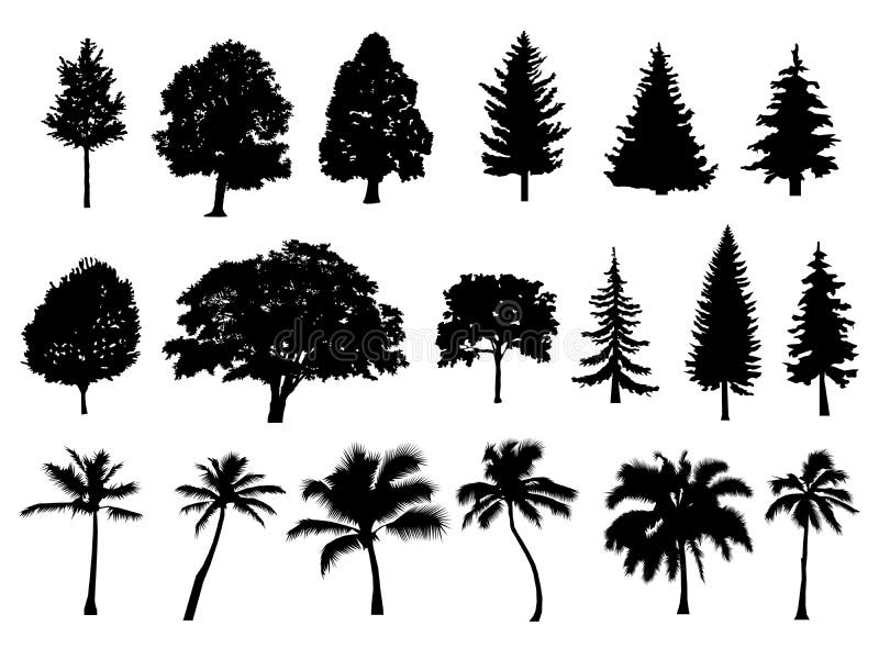 Bomen geplaatst silhouet Naaldbos Geïsoleerde boom op witte achtergrond palm Vector illustratie
