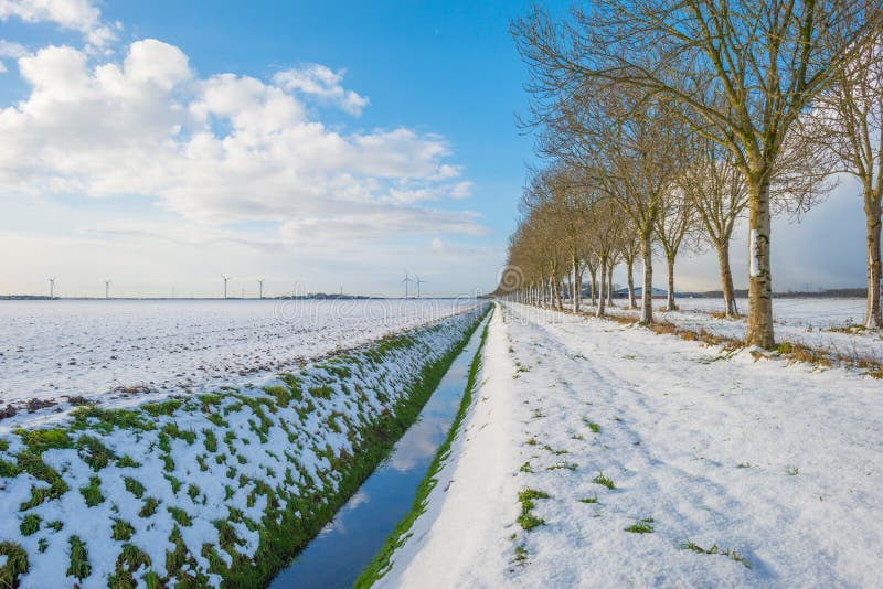 18 Bomen Langs Een Sloot Een Sneeuw Landelijk Landschap De 20+ beste afbeeldingen van Winter 18 19 | damestruien